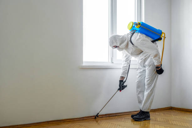 Best Residential Pest Control  in Plum, PA