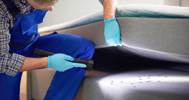 Wasp Removal Services in Plum, PA